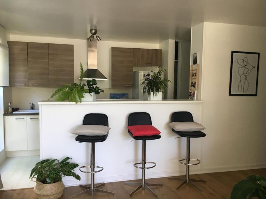 Appartement 55 M2 Le Chesnay 르 슈네 외부 사진