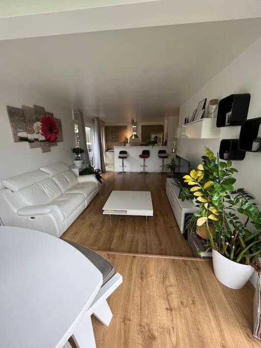 Appartement 55 M2 Le Chesnay 르 슈네 외부 사진