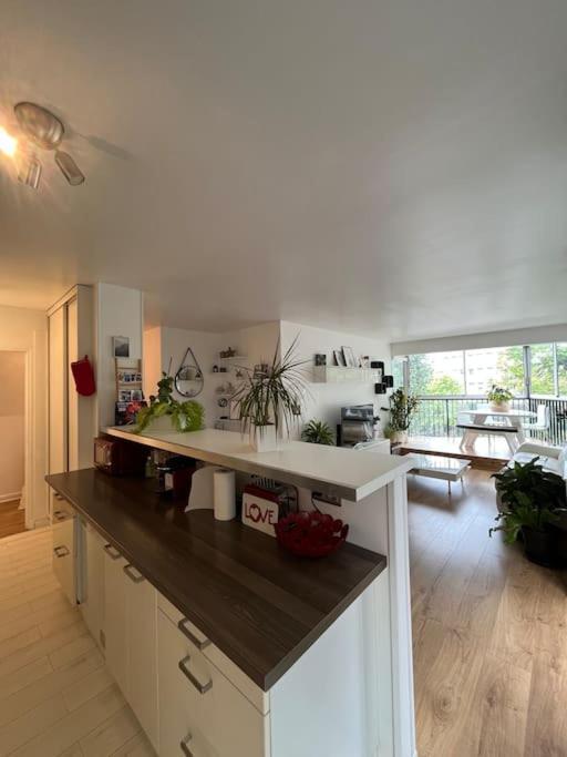 Appartement 55 M2 Le Chesnay 르 슈네 외부 사진
